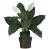 26 In. Artificial Spathyfillum Silk Plant With Wicker Basket -Artificial nearly natural artificial flowers 6518 64 1000