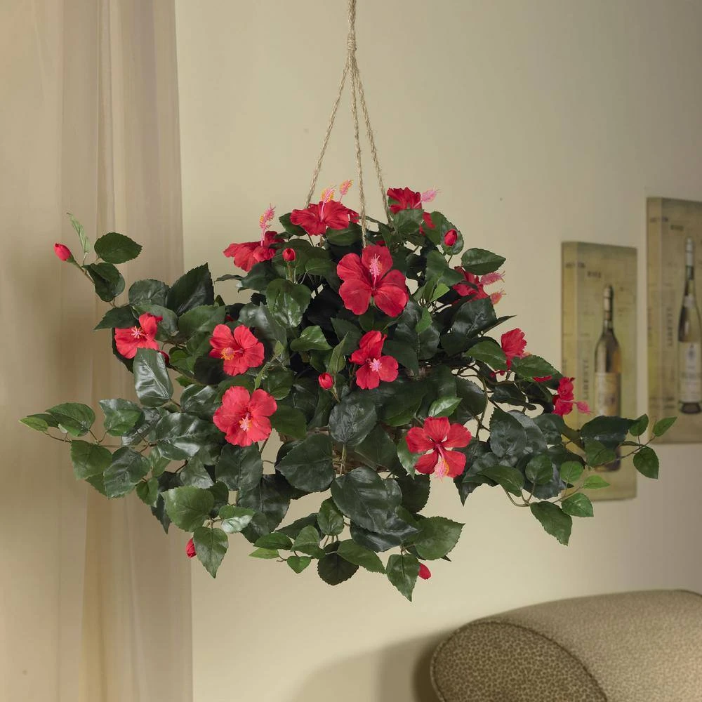 24 In. Hibiscus Hanging Basket 4 24 In. Hibiscus Hanging Basket - Image 2