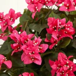 24.5 In. Artificial H Green Bougainvillea With Vase Silk Plant -Artificial nearly natural artificial flowers 6652 4f 1000