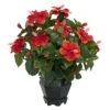 20 In. Artificial H Red Hibiscus With Black Hexagon Vase Silk Plant 1 20 In. Artificial H Red Hibiscus With Black Hexagon Vase Silk Plant -Artificial nearly natural artificial flowers 6691 64 1000