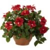 Hibiscus Artificial With Clay Planter 2 Hibiscus Artificial With Clay Planter -Artificial nearly natural artificial flowers 6735 64 1000