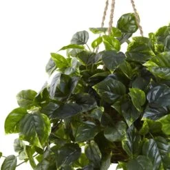 Artificial Pothos Hanging Basket 8 Artificial Pothos Hanging Basket -Artificial nearly natural artificial flowers 6844 c3 1000