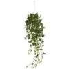 Pothos Hanging Basket Artificial Plant 1 Pothos Hanging Basket Artificial Plant -Artificial nearly natural artificial flowers 6948 64 1000