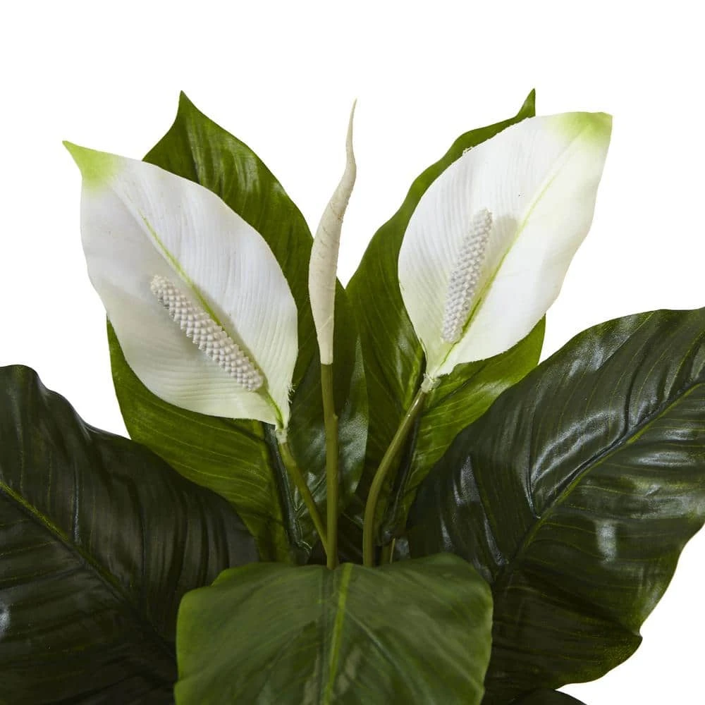 Indoor Spathiphyllum Artificial Flowering Peace Lily In Glossy Glass Planter 5 Indoor Spathiphyllum Artificial Flowering Peace Lily In Glossy Glass Planter - Image 3
