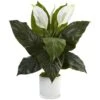 Indoor Spathiphyllum Artificial Flowering Peace Lily In Glossy Glass Planter 2 Indoor Spathiphyllum Artificial Flowering Peace Lily In Glossy Glass Planter -Artificial nearly natural artificial flowers 6956 64 1000