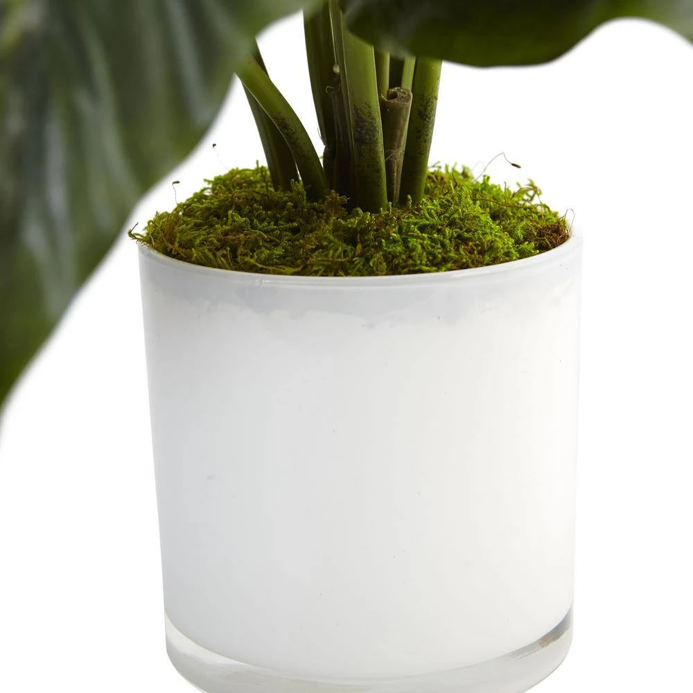 Indoor Spathiphyllum Artificial Flowering Peace Lily In Glossy Glass Planter 4 Indoor Spathiphyllum Artificial Flowering Peace Lily In Glossy Glass Planter - Image 2