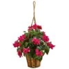Indoor Bougainvillea Flowering Artificial Plant In Hanging Basket 2 Indoor Bougainvillea Flowering Artificial Plant In Hanging Basket -Artificial nearly natural artificial flowers 6988 64 1000