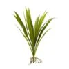 Indoor 15 In. Grass Artificial Plant (6-Set) 1 Indoor 15 In. Grass Artificial Plant (6-Set) -Artificial nearly natural artificial grass plants 6161 s6 64 1000