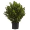 2 Ft. Artificial Cedar Bush Indoor/Outdoor -Artificial nearly natural artificial shrubs 6880 64 1000