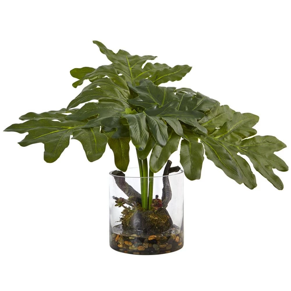 14 In. Philodendron Arrangement With Vase 3 14 In. Philodendron Arrangement With Vase