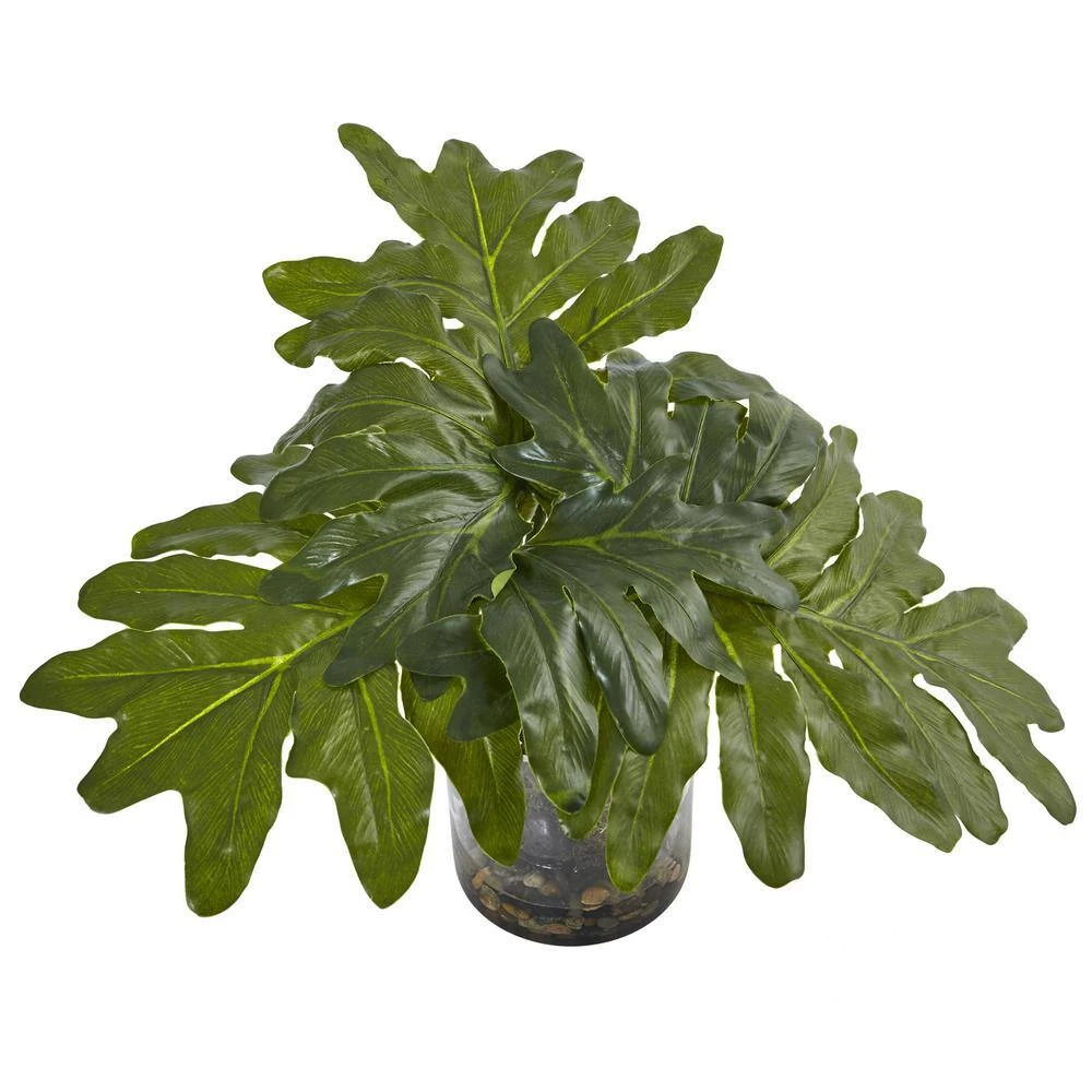 14 In. Philodendron Arrangement With Vase 4 14 In. Philodendron Arrangement With Vase - Image 2