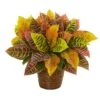17 In. Garden Croton Artificial Plant In Basket (Real Touch) 1 17 In. Garden Croton Artificial Plant In Basket (Real Touch) -Artificial nearly natural artificial shrubs 8870 64 1000
