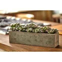 Artificial Succulent Garden With Textured Concrete Planter 15 Artificial Succulent Garden With Textured Concrete Planter -Artificial nearly natural artificial succulents 4544 31 1000