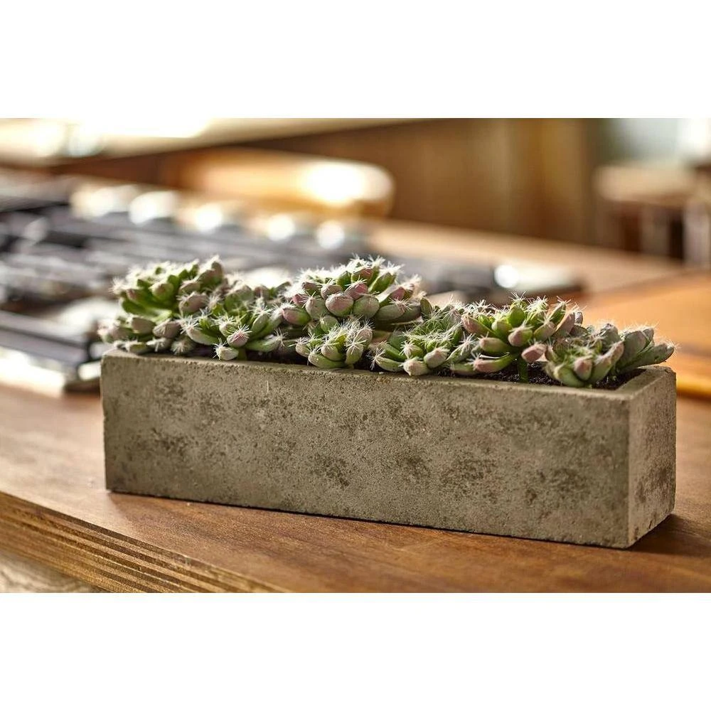 Artificial Succulent Garden With Textured Concrete Planter 9 Artificial Succulent Garden With Textured Concrete Planter - Image 7