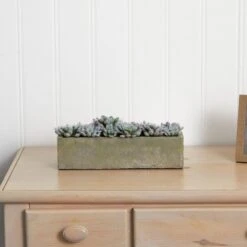 Artificial Succulent Garden With Textured Concrete Planter 13 Artificial Succulent Garden With Textured Concrete Planter -Artificial nearly natural artificial succulents 4544 44 1000