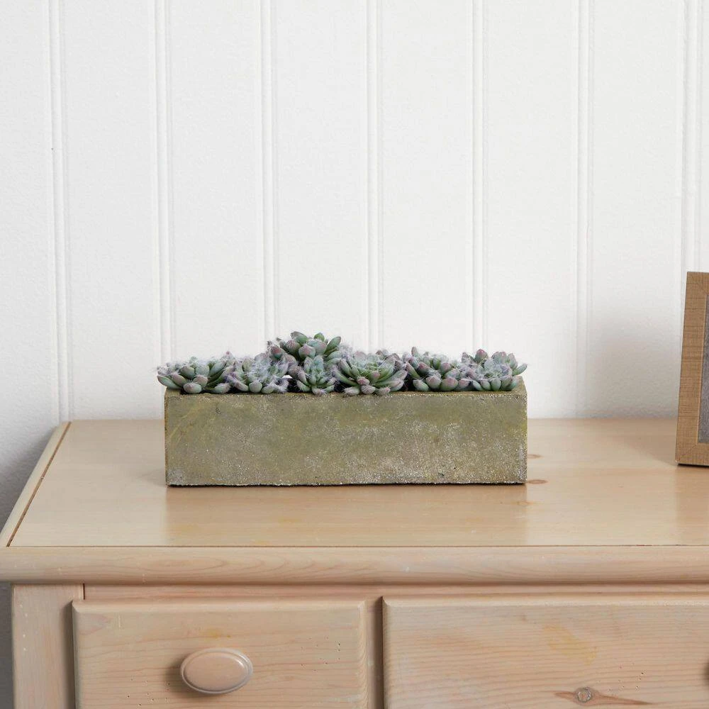 Artificial Succulent Garden With Textured Concrete Planter 7 Artificial Succulent Garden With Textured Concrete Planter - Image 5