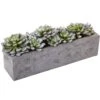 Artificial Succulent Garden With Textured Concrete Planter 2 Artificial Succulent Garden With Textured Concrete Planter -Artificial nearly natural artificial succulents 4544 64 1000