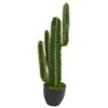 Indoor 2.5 Ft. Cactus Artificial Plant 1 Indoor 2.5 Ft. Cactus Artificial Plant -Artificial nearly natural artificial succulents 6328 64 1000