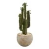 Indoor 2.5 Ft. Cactus Artificial Plant In Bowl Planter -Artificial nearly natural artificial succulents 6546 64 1000