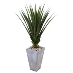 Indoor/Outdoor 5 Ft. H Spiked Artificial Agave In Cement Planter