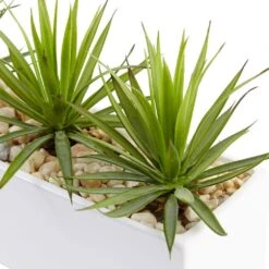Indoor Mini Agave Artificial Plant In Rectangular Ceramic 15 Indoor Mini Agave Artificial Plant In Rectangular Ceramic -Artificial nearly natural artificial succulents 6974 c3 1000