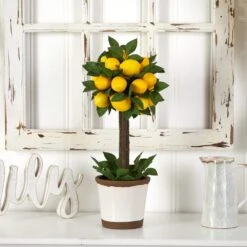 Lemon Ball Artificial Topiary Arrangement 13 Lemon Ball Artificial Topiary Arrangement -Artificial nearly natural artificial topiaries 4865 31 1000