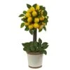 Lemon Ball Artificial Topiary Arrangement 2 Lemon Ball Artificial Topiary Arrangement -Artificial nearly natural artificial topiaries 4865 64 1000