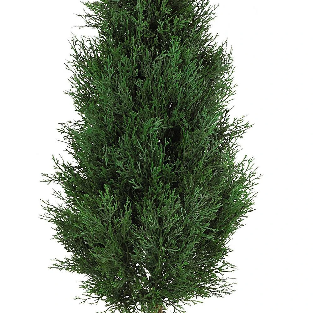 Indoor And Outdoor 5 Ft. Artificial Cypress Ball And Cone Silk Tree With Planter 5 Indoor And Outdoor 5 Ft. Artificial Cypress Ball And Cone Silk Tree With Planter - Image 3
