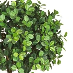 5.5 Ft. Artificial Green Eucalyptus Double Ball Topiary Silk Tree 7 5.5 Ft. Artificial Green Eucalyptus Double Ball Topiary Silk Tree -Artificial nearly natural artificial topiaries 5248 c3 1000