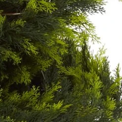 5 Ft. Artificial Green Cypress Spiral Tree 9 5 Ft. Artificial Green Cypress Spiral Tree -Artificial nearly natural artificial topiaries 5325 4f 1000