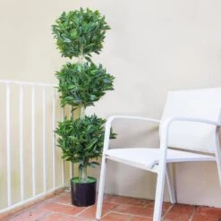 5 Ft. Artificial UV Resistant Indoor/Outdoor Triple Bay Leaf Topiary 12 5 Ft. Artificial UV Resistant Indoor/Outdoor Triple Bay Leaf Topiary -Artificial nearly natural artificial topiaries 5381 44 1000