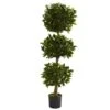5 Ft. Artificial UV Resistant Indoor/Outdoor Triple Bay Leaf Topiary 1 5 Ft. Artificial UV Resistant Indoor/Outdoor Triple Bay Leaf Topiary -Artificial nearly natural artificial topiaries 5381 64 1000