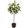 2.41 Ft. Artificial Topiary With Decorative Planter 1 2.41 Ft. Artificial Topiary With Decorative Planter -Artificial nearly natural artificial topiaries 5423 64 1000