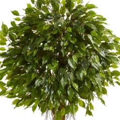 6 Ft. UV Resistant Indoor/Outdoor Ficus Artificial Topiary Tree -Artificial nearly natural artificial topiaries 5528 c3 1000
