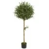 Indoor 5 Ft. Olive Topiary Artificial Tree 2 Indoor 5 Ft. Olive Topiary Artificial Tree -Artificial nearly natural artificial topiaries 5563 64 1000