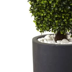 50 In. Artificial Boxwood Topiary With Gray Cylindrical Planter UV Resistant (Indoor/Outdoor) 7 50 In. Artificial Boxwood Topiary With Gray Cylindrical Planter UV Resistant (Indoor/Outdoor) -Artificial nearly natural artificial topiaries 5961 c3 1000