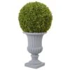 2.5 Ft. Artificial Boxwood Topiary With Urn (Indoor/Outdoor) 2 2.5 Ft. Artificial Boxwood Topiary With Urn (Indoor/Outdoor) -Artificial nearly natural artificial topiaries 5965 64 1000