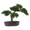 16 In. Artificial Cedar Bonsai Silk Plant -Artificial nearly natural artificial trees 4106 64 1000
