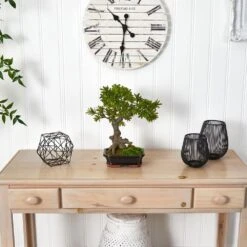 Artificial Podocarpus With Mossed Bonsai Planter -Artificial nearly natural artificial trees 4848 31 1000