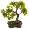 Artificial Podocarpus With Mossed Bonsai Planter 1 Artificial Podocarpus With Mossed Bonsai Planter -Artificial nearly natural artificial trees 4848 64 1000