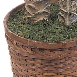 6 Ft. Artificial And 4 Ft. Artificial Sago Palm Double Potted Silk Tree 11 6 Ft. Artificial And 4 Ft. Artificial Sago Palm Double Potted Silk Tree -Artificial nearly natural artificial trees 5033 1f 1000