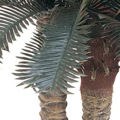 6 Ft. Artificial And 4 Ft. Artificial Sago Palm Double Potted Silk Tree 10 6 Ft. Artificial And 4 Ft. Artificial Sago Palm Double Potted Silk Tree -Artificial nearly natural artificial trees 5033 4f 1000