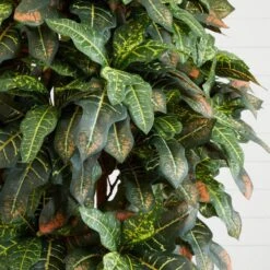 6 Ft. Artificial Croton Silk Tree -Artificial nearly natural artificial trees 5211 4f 1000