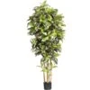6 Ft. Artificial Croton Silk Tree 2 6 Ft. Artificial Croton Silk Tree -Artificial nearly natural artificial trees 5211 64 1000