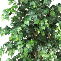 6 Ft. Artificial Multi-Trunk Silk Ficus Tree -Artificial nearly natural artificial trees 5216 4f 1000