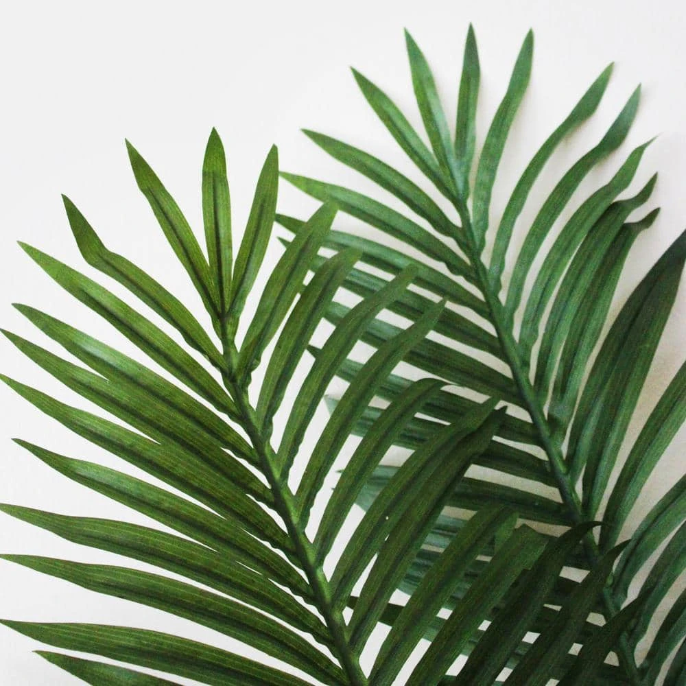 5 Ft. Artificial Paradise Palm Silk Tree 7 5 Ft. Artificial Paradise Palm Silk Tree - Image 5