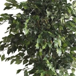 6 Ft. Artificial Double Ball Ficus Silk Tree -Artificial nearly natural artificial trees 5268 c3 1000