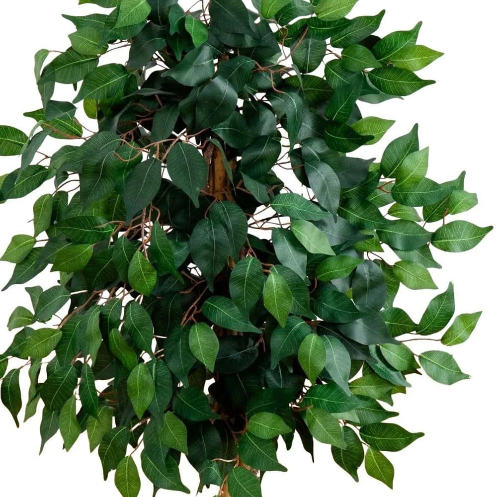 Indoor 3 Ft. Artificial Ficus Silk Tree 6 Indoor 3 Ft. Artificial Ficus Silk Tree - Image 4