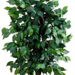 4 Ft. Artificial Ficus Silk Tree 12 4 Ft. Artificial Ficus Silk Tree -Artificial nearly natural artificial trees 5299 1f 1000