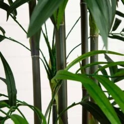 6 Ft. Artificial Green Bamboo Palm Silk Tree -Artificial nearly natural artificial trees 5328 4f 1000